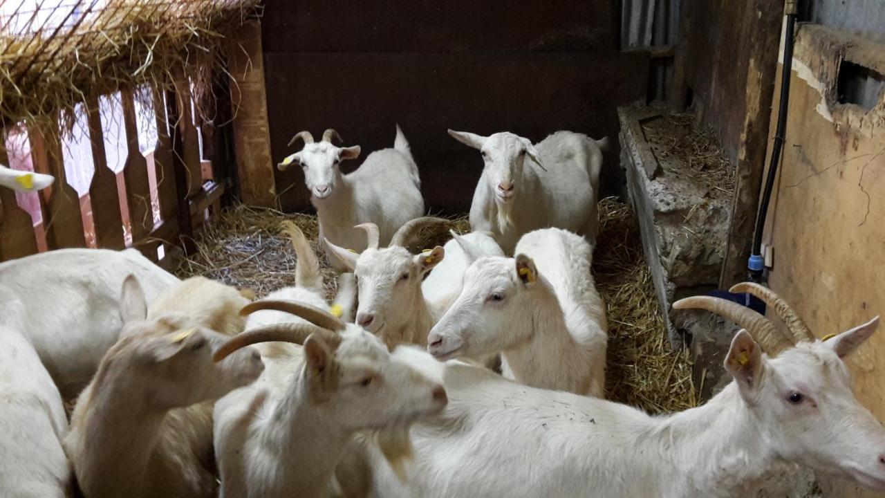 Cantina Del Casale ตรามอนติ ภายนอก รูปภาพ